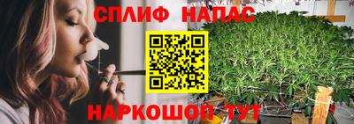 гашик Краснознаменск