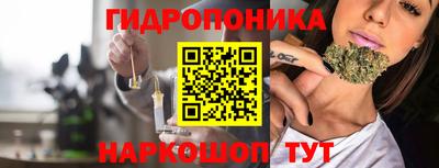 гашик Краснознаменск