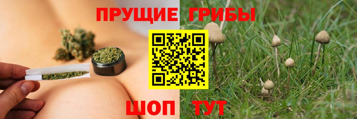 Галлюциногенные грибы мицелий Зерноград